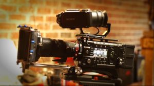 Sequence 1 010014;02